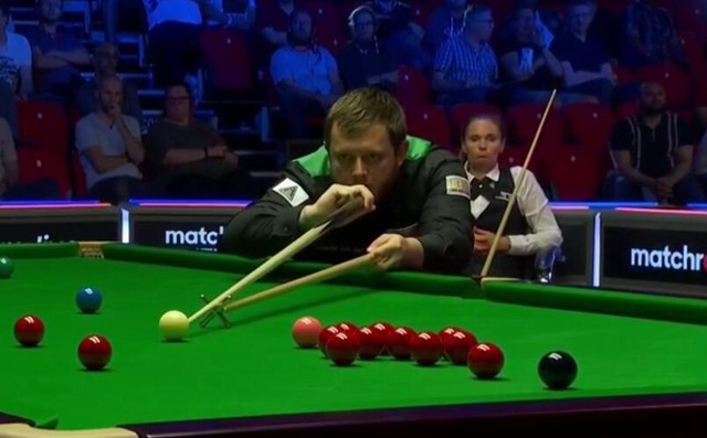 他们正在书 他们正在书