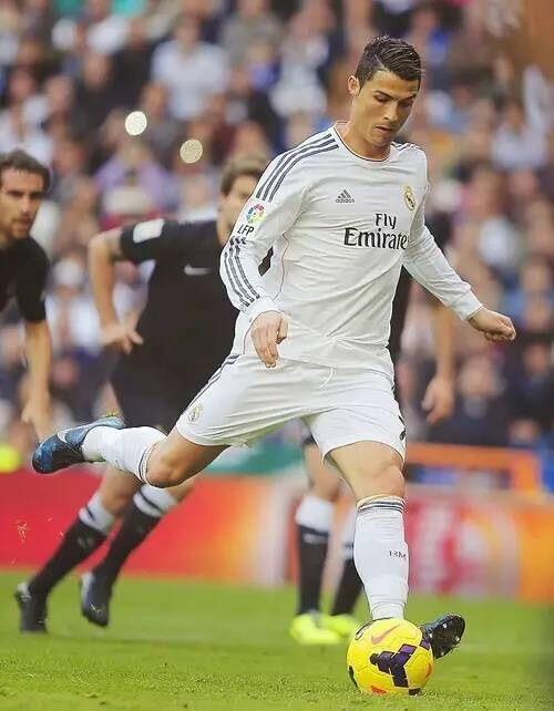 残酷的竞争 残酷的竞争